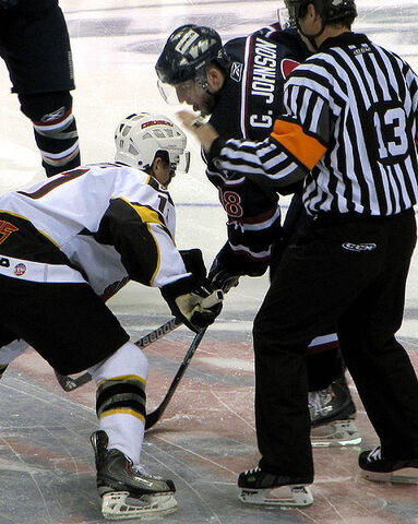 File:Johnson,Gregg SCStingrays.jpg