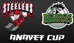 2007 ANAVET CUP LOGO