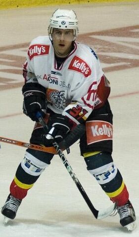 File:Mitja Robar.jpg