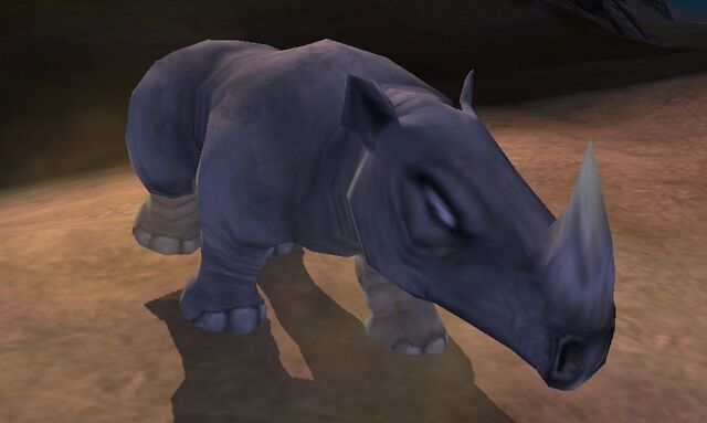 File:Rhinoceros.jpg