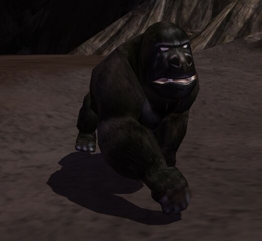 File:Gorilla.jpg