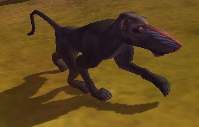 File:Baboon.jpg