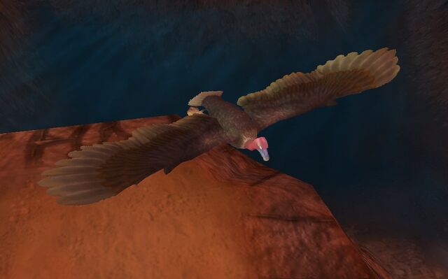 File:Vulture.jpg
