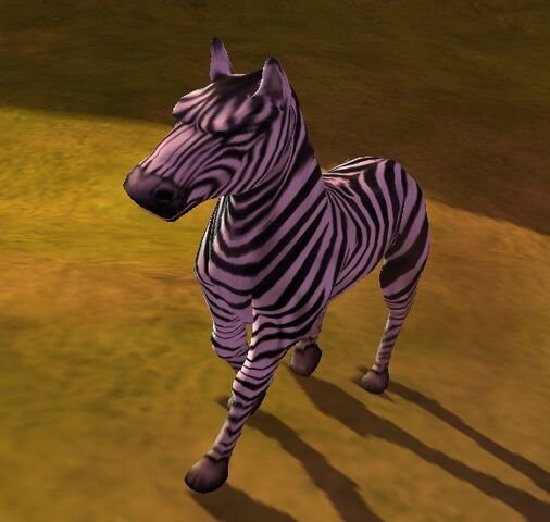 File:Zebra.jpg