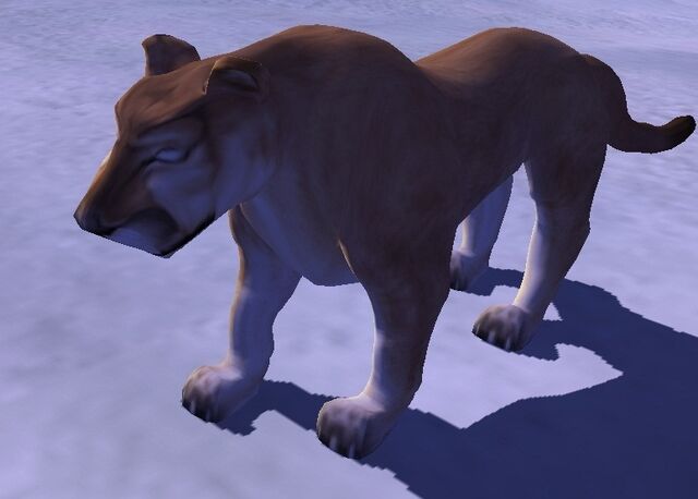 File:MountainLion.jpg
