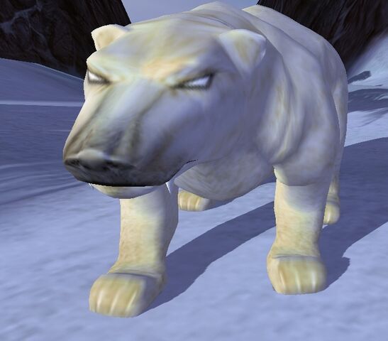 File:PolarBear.jpg