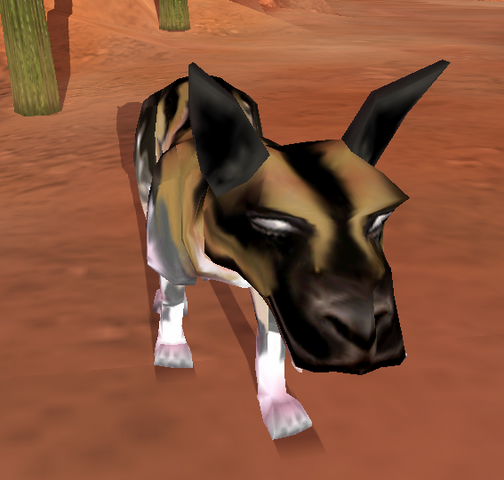 File:WildDog.png
