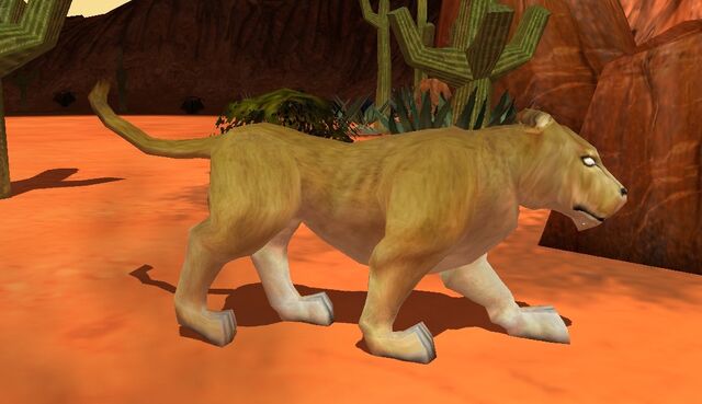 File:Lioness.jpg