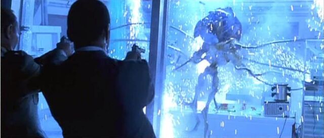 File:Showdown.jpg