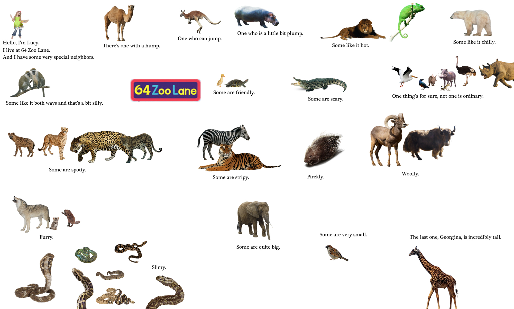 Disco Zoo Wiki Mightyfasr Disco Zoo Wiki Mightyfasr