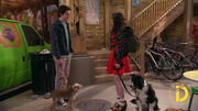 Dog Date Afternoon Screencaps7