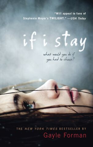 File:Ifistaybook.jpg