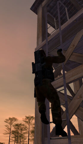 File:Jones ladder2.jpg