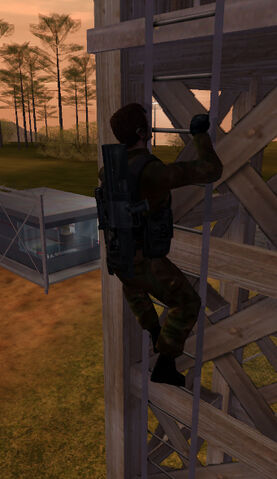 File:Jones ladder.jpg
