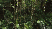 Głoskułki.gif