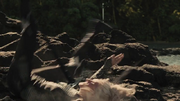 640px-Cashmere-death.png
