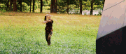 Nozclovekatniss