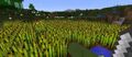 Thumbnail for version as of 21:43, April 24, 2013