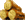 Hout