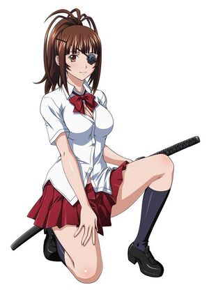 (Ikkitousen) Mitsuyoshi Yagyu