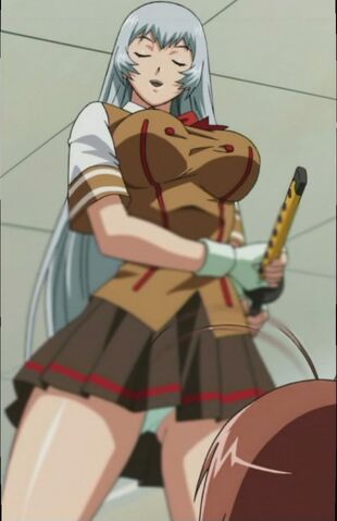 File:Ikkitousen Great Guardians01-26.jpg