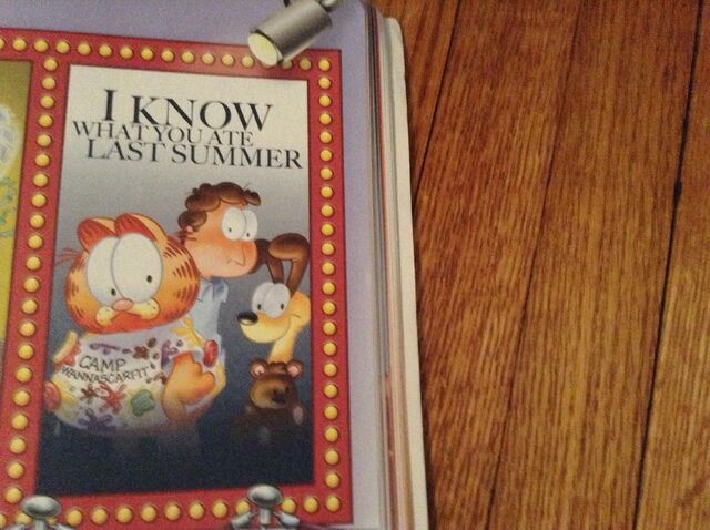 File:Iknowwhatyoyatelastsummer.jpg
