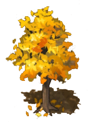 File:金黃色白果樹.png