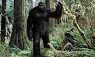 Bigfoot