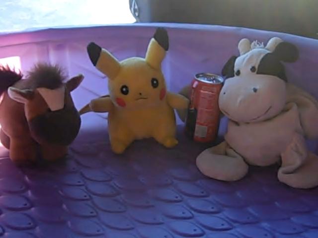 File:VID02235.jpg