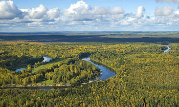 Plains of Western Siberia