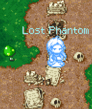 Lost phantom