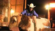 Mechanical bull