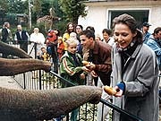 Bild120900 v-standard43 zc-698fff06.jpg