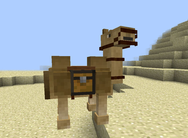 Bestand:FacedorkTV Camel.jpg