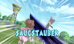Saugstauber Wii