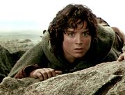 Frodo worried 3