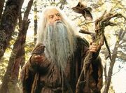 Radagast2.jpg