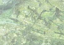 File:CaveBGD.JPG