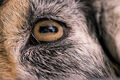 Thumbnail for version as of 16:41, August 18, 2013