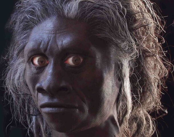 File:Homofloresiensis.jpg