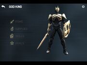 Raidriar Set