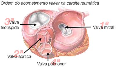 FIG.CORAÇAO2.png