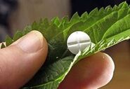 Cannabis8.jpg