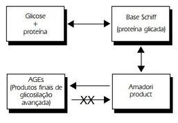 Complicacaovascular1.jpg