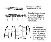 PAULO01