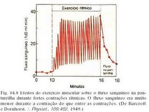 Figura06