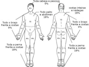 Figura 555.jpg