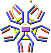 Figura3 DHMP2.jpg