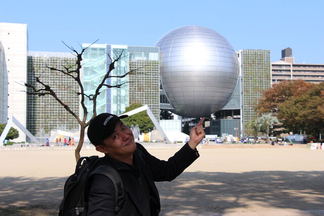ファイル:MSDN2013.jpg
