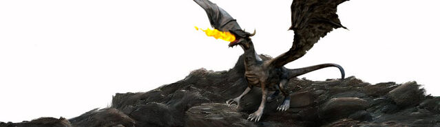 File:Initium BlackDragonling.jpg